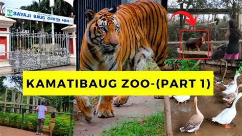Kamati baug zoo timings  I hope you enjoyed it🙂 You can visit sayaji park and ex